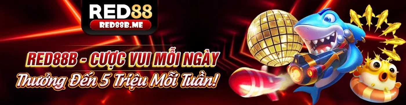 Hình ảnh chính sách cookie của 8kbets